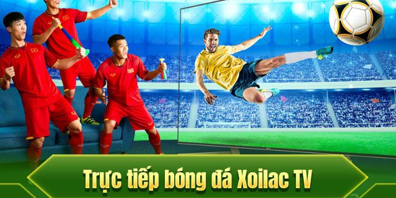 Tại sao Xoilac lại trở thành lựa chọn hàng đầu trong giới cá độ bóng đá?